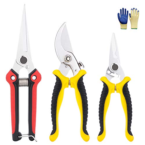 GEEDIAR Tijeras de podar de acero inoxidable, tijeras de podar de jardinería, tijeras de jardín para ramas de frutas, setos, frutas y verduras, plantas (con guantes antideslizantes) Cover