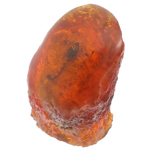 SOESFOUFU Scorpion Specimen Resin Stone Insect Ornament Natural Stones Decor for