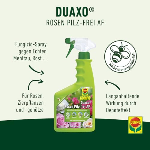 Compo Duaxo Rosen Pilz-frei AF, Bekämpfung von Pilzkrankheiten an Rosen, Zierpflanzen und Kräutern, Anwendungsfertige Handsprühflasche, 750 ml