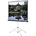 Carpeted Picture King Matte White Portable Projection Screen Viewing Area: 70" H x 70" W