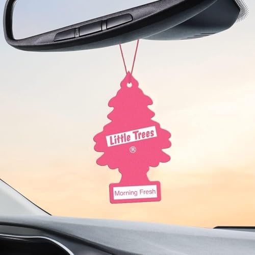 Image of LITTLE TREES Car Air Freshener | Hanging Paper Tree for Home or Car | Morning Fresh