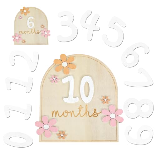 Sibba Baby Monthly Milestone Cards 11Pcs Posing Props Wooden Sign...