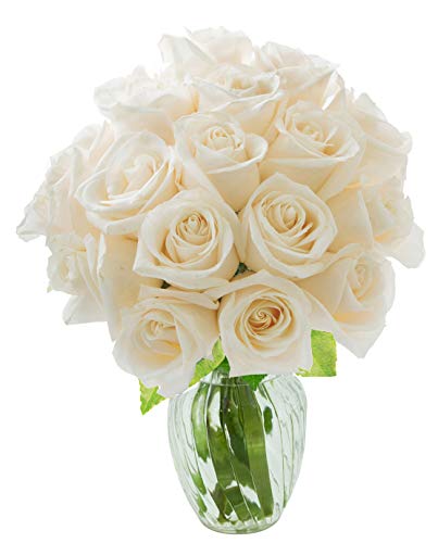KaBloom PRIME NEXT DAY DELIVERY - Fall Collection - Bouquet of 18 Fresh White Roses (Farm-Fresh, Long-Stem) with Vase. Gift for Birthday, Anniversary, Thank You, Mother’s Day Fresh Flowers.