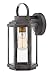 Hinkley Danbury Collection One Light Outdoor Small Wall Lantern, Aged Zinc/Heritage Brass Finish w/Clear Glass