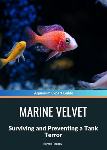 Marine Velvet: Surviving and Preventing a Tank Terror