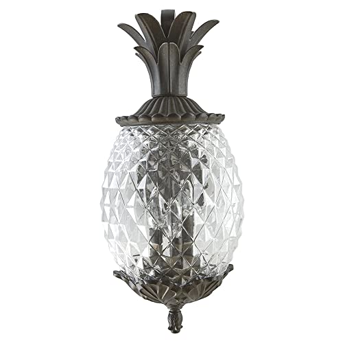 Acclaim 7512Bc Lanai Collection 3-Light Wall Mount Outdoor Light Fixture, Black Coral #TOP2