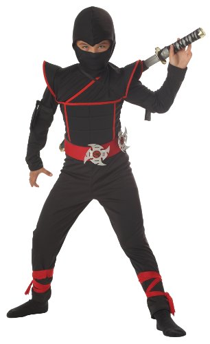 California Costumes Toys Stealth Ninja, Medium