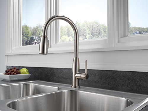 Delta Faucet Peerless P188103Lf-Ss Apex Kitchen Integrated Pull Down Kitchen , Stainless #TOP4