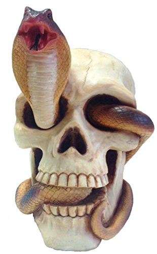 Crâne Serpent HF1561 : objet déco mystique pour cabinet de curiosités