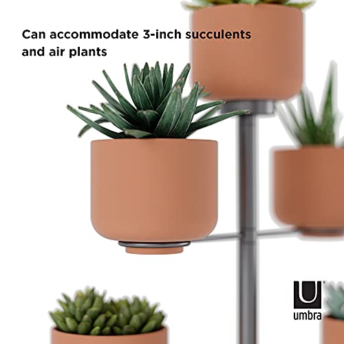 Umbra Terrapotta Tabletop Planter #TOP3