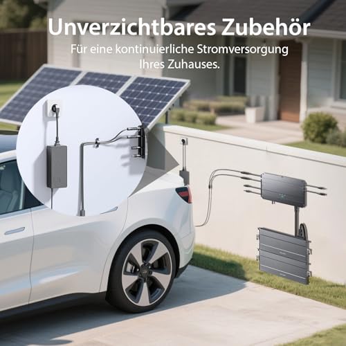 AIFIZO AC auf MC4 Ladegerät, 54V/3A 162W, für SolarFlow 1200 / Hub 2000 / AIO2400 / Solix, Geeignet für den Einsatz im Winter und in der Regenzeit