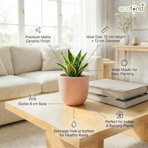Image of ecofynd 5 Inch Ceramic Plant Pots with Drainage Hole, Modern Decorative Clay Flower Pots for Indoor Plants, Home Garden Decor for Living Room, Bedroom & Interior Spaces (CPOT041-PNK)