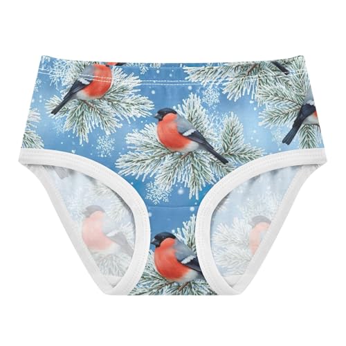 Aesthetic Toddler Underwear Floral 2t Cotton Panties Little Girl Red Birds Blue Sky Underpants Briefs