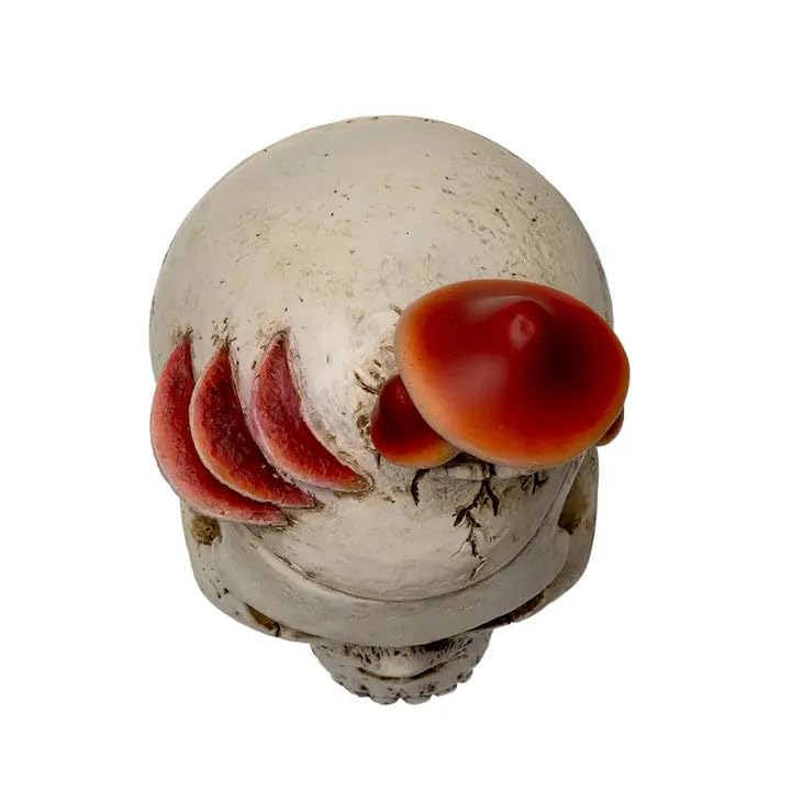 Scatola portaoggetti a forma di teschio di funghi