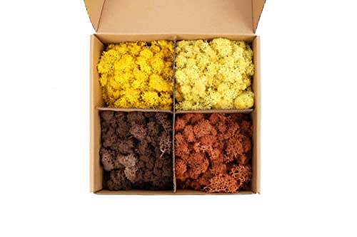 Image of Amoueterno Preserved Moss 4 Color Reindeer Moss,Total 14OZ Each Color 3.5OZ, Natural Real Green Moss DIY Kit Moss Crafts Art Wall Decor Florist Decor Yellow /Light Yellow /Brown /Orange Brown