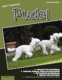 Unser Traumhund: Pudel