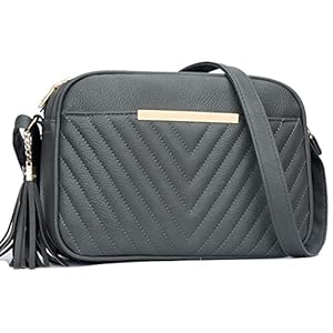 KKXIU Quilted Double Compartment Multiple Pocket Crossbody Bag for Women and Teen Girls Stylish Shoulder Purse with Tassel