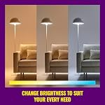 WiZ Smart LED A19 Bulb, Tunable White and Full Color, E26 Base, 100W Equivalent, 2200-6500K, 1550 Lumens, Dimmable, Works with Alexa, Google Assistant, and Apple HomeKit, 1 Pack