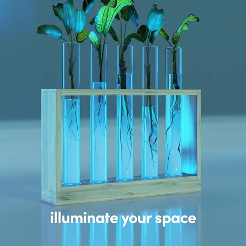 Planters' Choice PC-068 Light Up Bamboo Vial Air Planter thumb #7