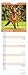 Horse Lovers | 2027 5.7 x 16.5 Inch (Hanging) Monthly Slimline Wall Calendar | BrownTrout | Animals Equestrian