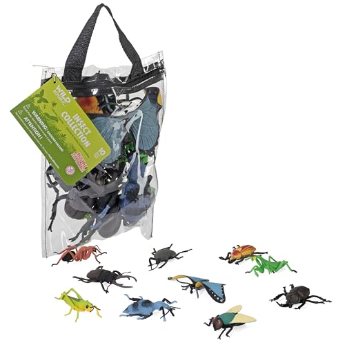 Collection d'insectes Wild Republic 23755 pour s'amuser dans le jardin