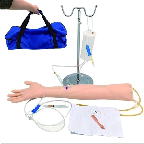Bras de pratique IV et modèle de formation en ponction veineuse pour étudiants en soins infirmiers