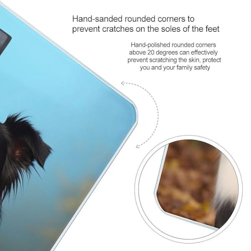 Báscula digital Border Collie para peso corporal 400 lb miniatura 4