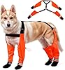 Dog Suspender Boots, Large Dog Rain Boots, Waterproof Doggy Winter Boot Snow Pants, Paw Protectors Legging Shoes with Suspenders, Anti-Slip Rain Boot (Large, Orangec)
