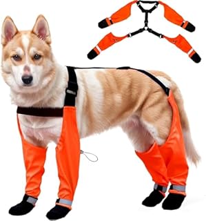 Dog Suspender Boots, Large Dog Rain Boots, Waterproof Doggy Winter Boot Snow Pants, Paw Protectors Legging Shoes with Suspenders, Anti-Slip Rain Boot (Large, Orangec)