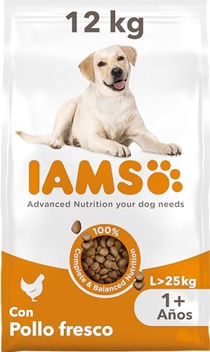 IAMS Alimento Seco para Perros de Razas Grandes, Pollo, 12kg