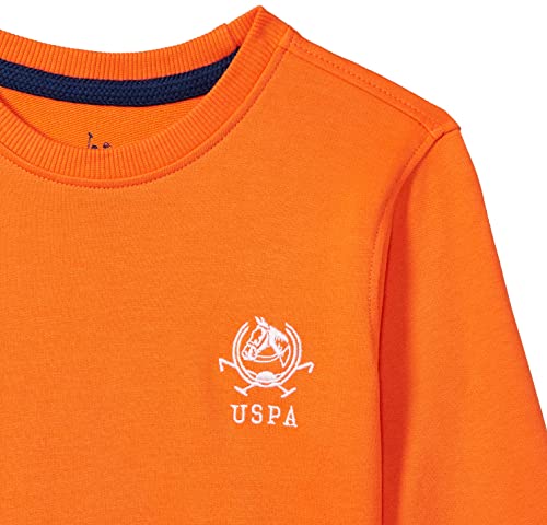 Image of U.S. Polo ASSN. Boys Sweatshirt
