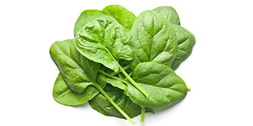 Raunak Seeds Baby Spinach Exotic Veg Seeds Pack - 50 Seeds Pack (B0749Q4GS6) Amazon Price History, Amazon Price Tracker