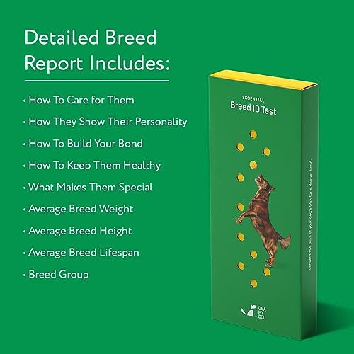 DNA My Dog – Essential Breed ID Test | Accurate DNA Analysis of 350+ Dog Breeds | Easy-to-Use Kit | Non-Invasive Cheek Swab | Results in 2 Weeks | Includes DNA Certificate & Detailed Breed Report - Image 3