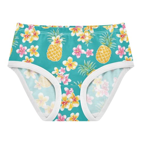 Wusikd Pineapples Plumeria Girls' Underwear Cotton Girls Briefs Soft Toddler Underwear 2T