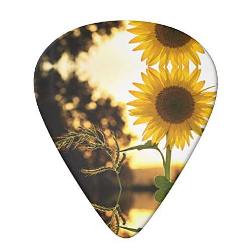 Ensemble de 6 médiators de guitare tournesols pour guitare acoustique, guitare électrique, basse, ukulélé – fin, moyen… - Les Beatles, Paul McCartney, John Lennon, RIngo Starr, George Harrison Ensemble de 6 médiators de guitare tournesols pour guitare acoustique, guitare électrique, basse, ukulélé - fin, moyen… – Image 4