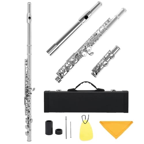 Flauta travesera principiante Flauta De 16 Agujeros Cerrados Llave C Cuproníquel Flauta De Concierto Flauta Transversal Instrumento De Viento De Madera Con Llave E Accesorios(Silver)