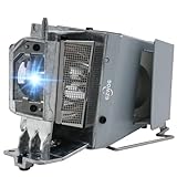 Gzwog BL-FP190D/SP.73701GC01 NP36LP MC.JH111.001 MC.JH011.001 Replacement Projector Lamp Bulb with Housing for OPTOMA S310X W312 X312 NEC NP-V302W/V302X ACER P1283 P1383W X113H X113PH X1383WH X113