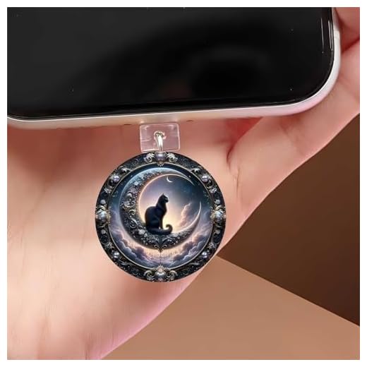 Black Cat on Moon Dust Plug Acrylic Charms for electronic products,Type-C Charging Port Dust Plugs Pendant Compatible with E-Reader Phone Tablet, Gift for Christmas, Birthday, Anniversary Day