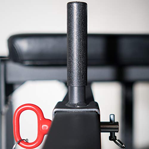 Titan Fitness H-PND, Reverse Hyperextensions Lower Body Machine, Rated 550 LB, Specialty Home Gym Machine for Physical… - Image 5