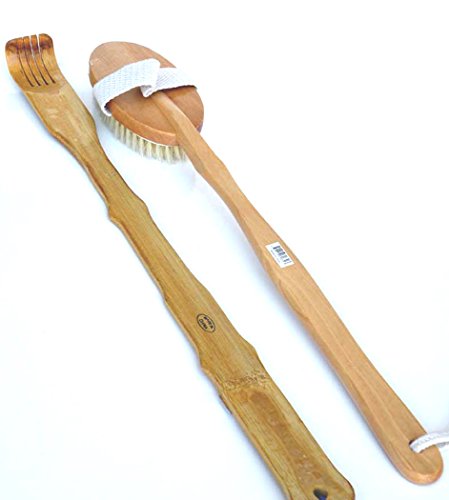Long Handle Back Brush. 15.5" Length, With Pure Wild Boar Bristle For Around to Deep Cleansing.