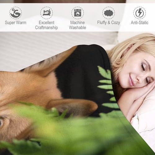 Couverture chien douce et chaude pour protéger le canapé du salon
