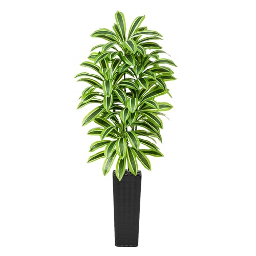 Image of Artificial Yellow Dracaena Tree Indoor, 7FT Tall Fake Floor Plants with Black Planter & Pebbles, Faux Silk Yucca Tree for Home Office Living Room Bedroom Farmhouse Modern Outdoor Topiary Tree