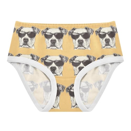 ZZKKO Dog Head with Sunglasses Girls Underwear Toddler Panties for Girls Comfort Brief Size 2T-8Y