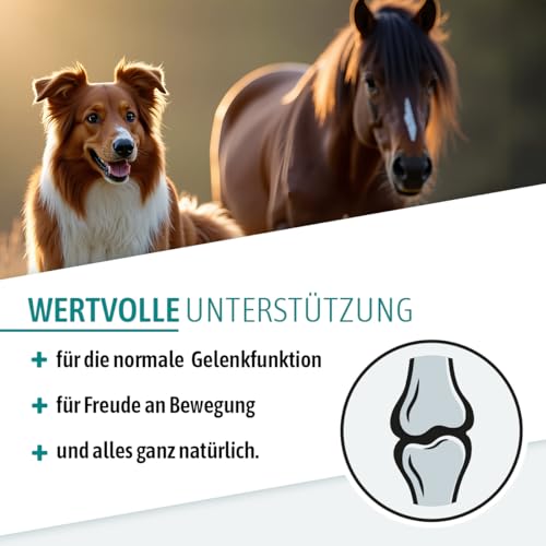 AniGo Teufelskralle für Hunde, Katzen & Pferde 1kg - Teufelskrallenpulver, Teufelskrallenwurzel, Gelenkpulver, zur Unterstützung agiler Gelenke und der Beweglichkeit