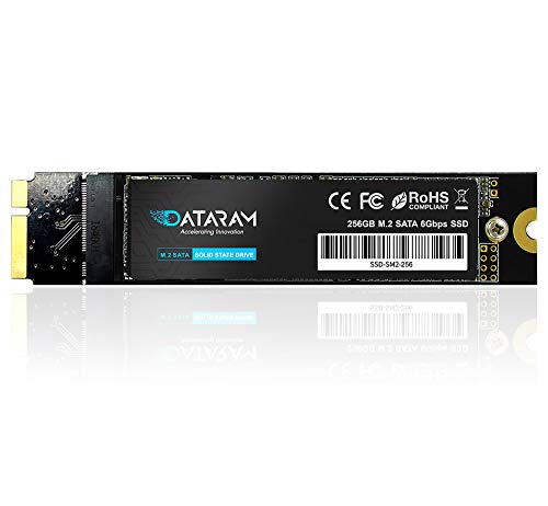DATARAM 256GB SSD for 2012 Apple MacBook Air A1465 EMC 2558 & A1466