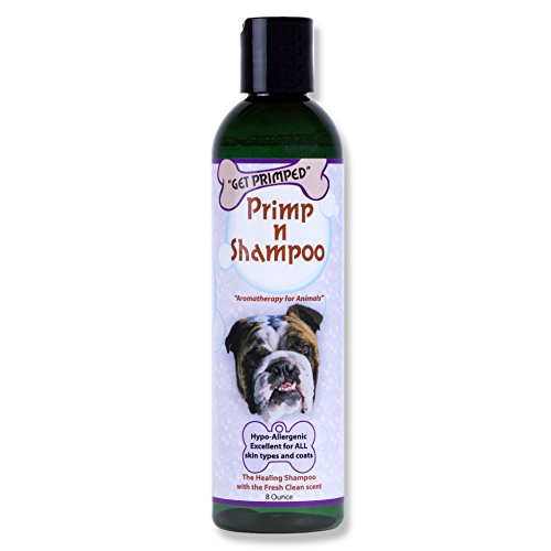 10 Best Shampoos For Bulldogs [2024] PetStruggles