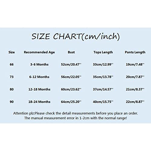 Conjunto de 3 peças para o primeiro aniversário para o primeiro aniversário, para o verão, outono, a