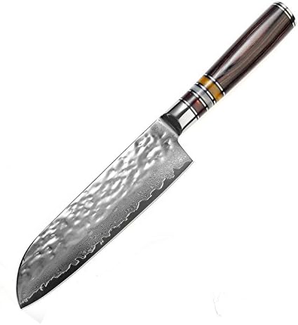 Bigsun Santoku Knife,Professional 7 Inch Forged High Carbon 67 Layers VG 10 Damascus Steel With Acrylic Resin&Pakka Wood Handle Santoku Knives