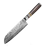 BIGSUN Santoku Knife,Professional 7 Inch Forged High Carbon 67 Layers VG 10 Damascus Steel With Acrylic Resin&Pakka Wood Handle Santoku Knives