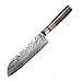 BIGSUN Santoku Knife,Professional 7 Inch Forged High Carbon 67 Layers VG 10 Damascus Steel With Acrylic Resin&Pakka Wood Handle Santoku Knives